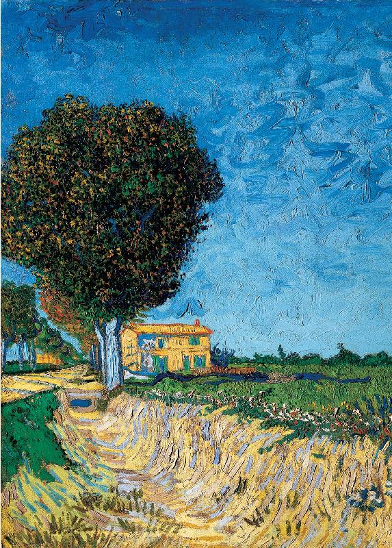 Vincent Van Gogh Avenue bij Arles